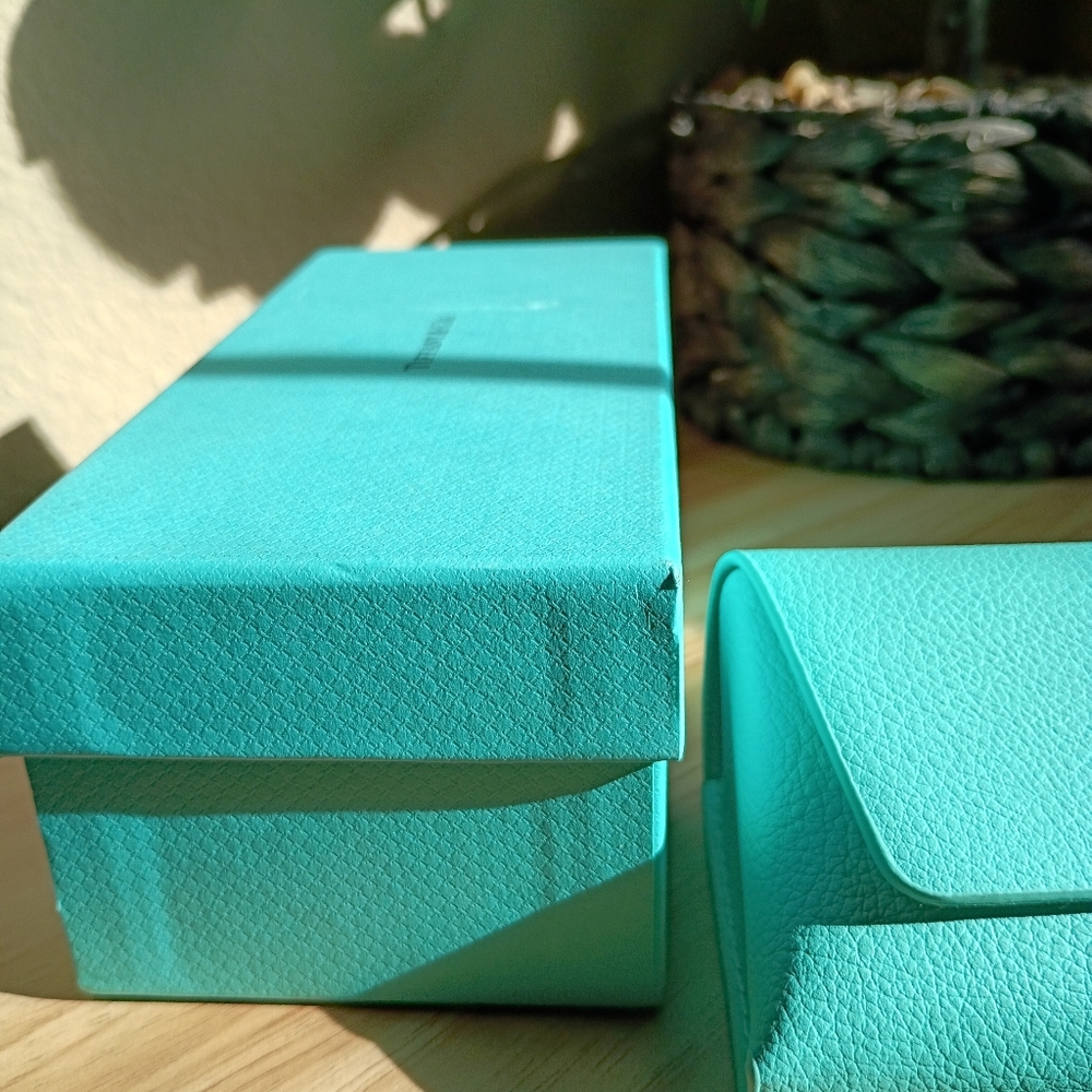 Tiffany & Co. Blue Eyeglasses Case - Picture 11 of 15